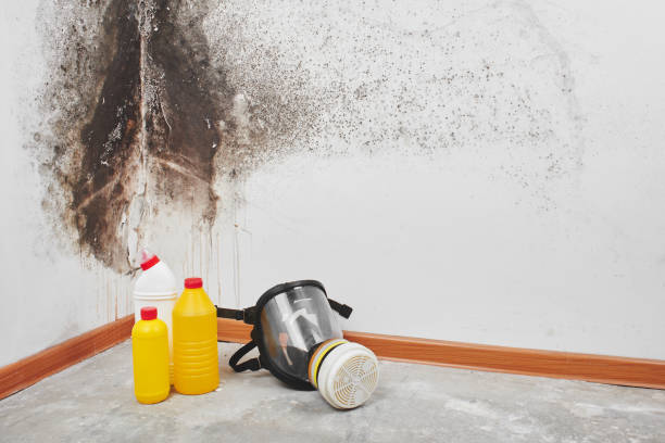 Best Crawl Space Mold Removal  in Beach, ND