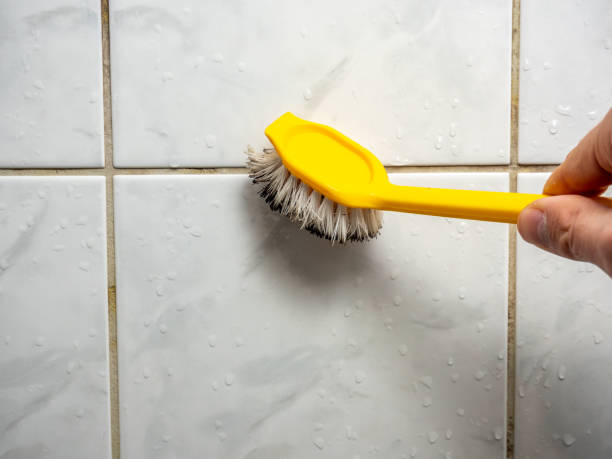Best Residential Mold Removal  in Beach, ND