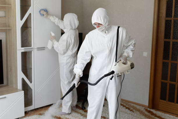 Best Local Mold Removal Service  in Beach, ND