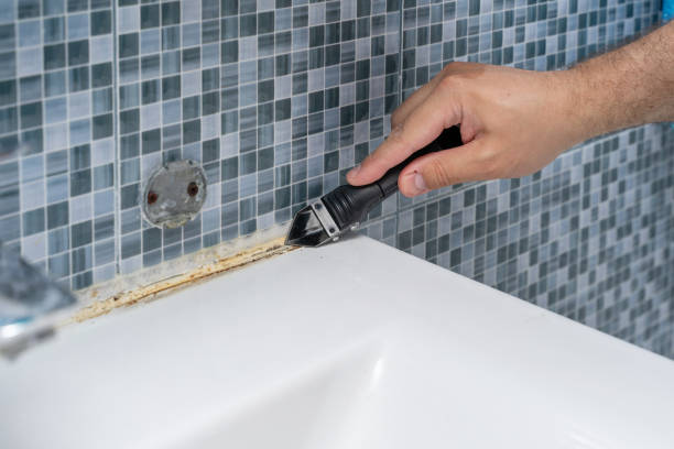 Best Mold Removal Company Near Me  in Beach, ND